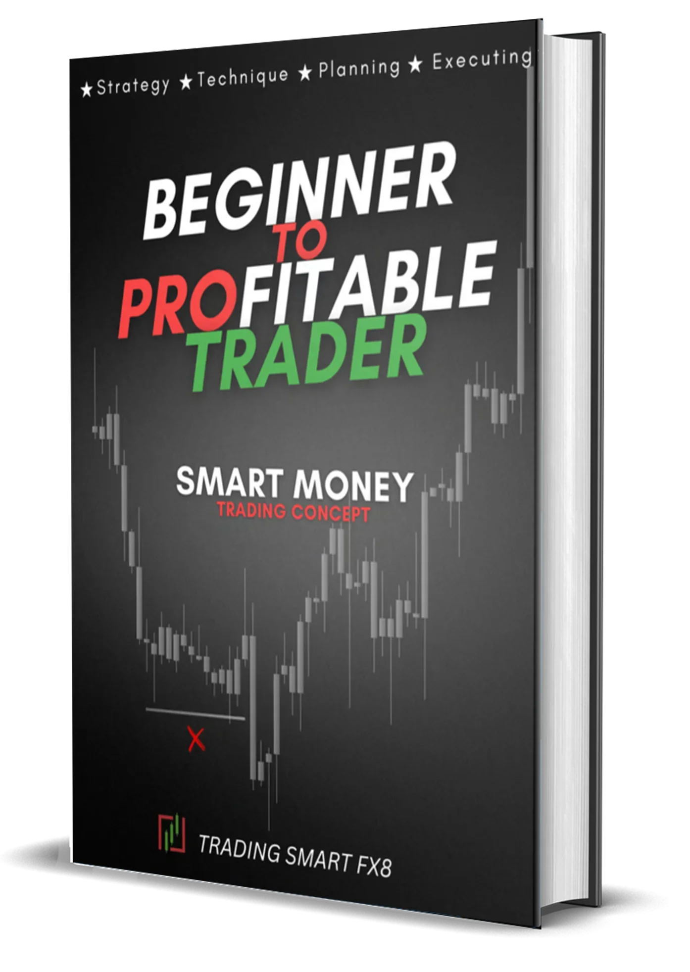 Beginner To Profitable Trader Guide