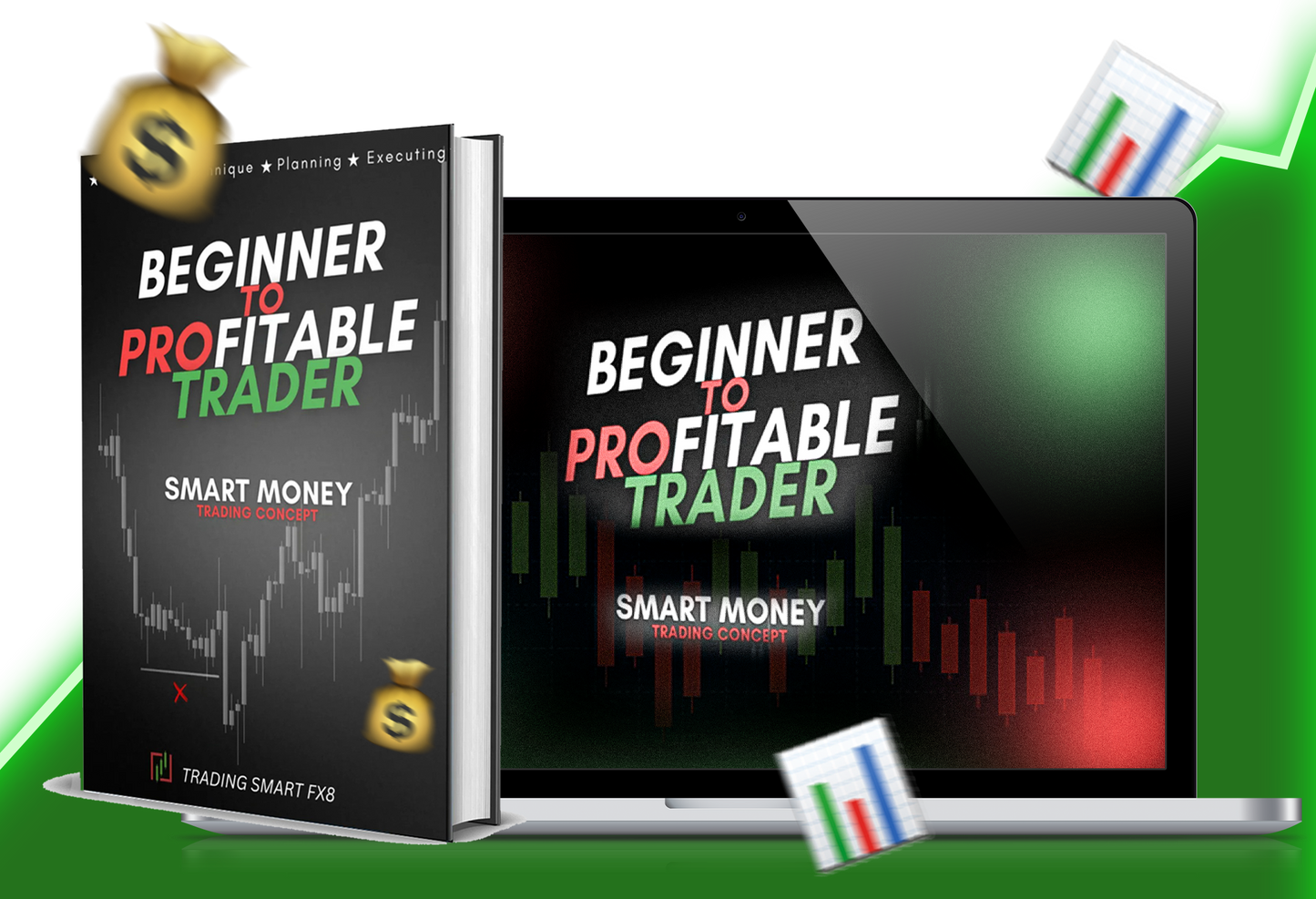 Beginner To Profitable Trader Guide